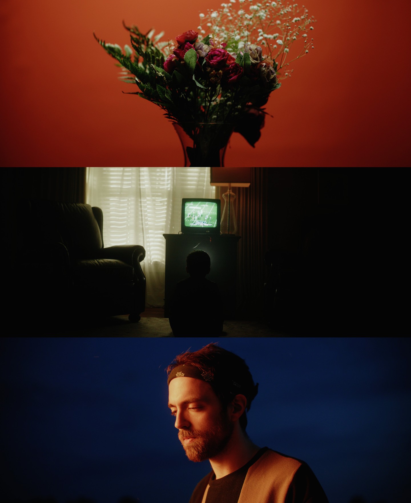 Phantom LUTs – Canon LUTs 佳能C-Log2、C-Log3转阿莱胶片色彩商业LUT调色预设包 Joel Famularo Phantom LUTs for Canon Cinema Cameras 插件预设 第9张-素材湾丨精选海外优质设计素材资源 Phantom LUTs – Canon LUTs 佳能C-Log2、C-Log3转阿莱胶片色彩商业LUT调色预设包 Joel Famularo Phantom LUTs for Canon Cinema Cameras 插件预设 sucaiwan.com