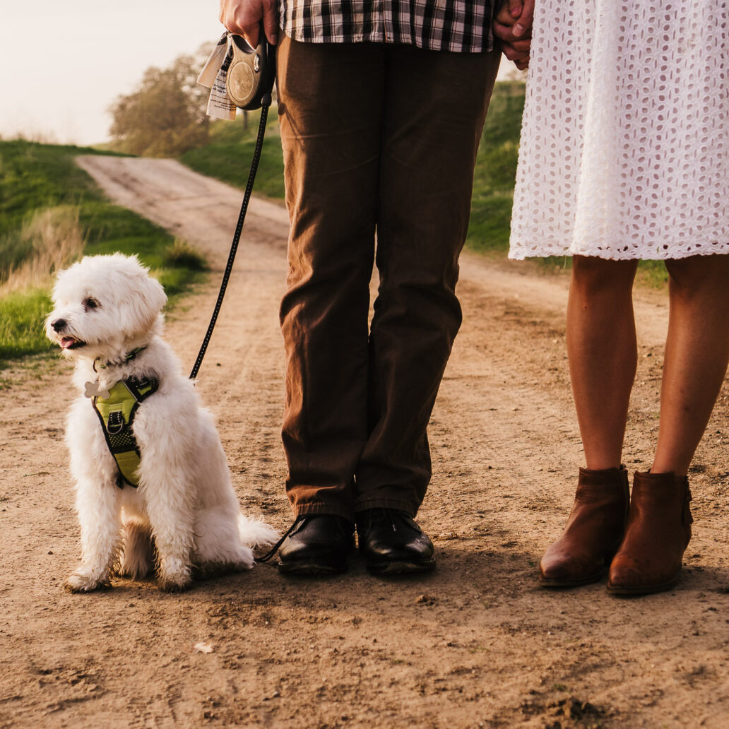 梦幻永恒温暖橙色家庭情侣婚礼摄影照片调色Lightroom预设 Sven Malojlo – Melo Presets 插件预设 第12张-素材湾丨精选海外优质设计素材资源 梦幻永恒温暖橙色家庭情侣婚礼摄影照片调色Lightroom预设 Sven Malojlo – Melo Presets 插件预设 sucaiwan.com