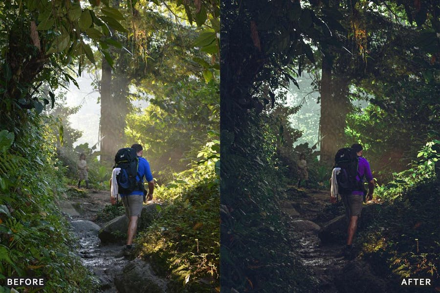 深绿色自然户外景观摄影照片调色Lightroom预设包 Deep Green Nature Lightroom Presets Pack 插件预设 第3张-素材湾丨精选海外优质设计素材资源 深绿色自然户外景观摄影照片调色Lightroom预设包 Deep Green Nature Lightroom Presets Pack 插件预设 sucaiwan.com