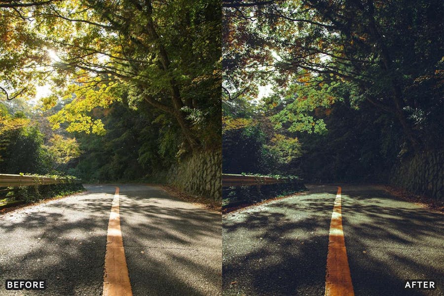 深绿色自然户外景观摄影照片调色Lightroom预设包 Deep Green Nature Lightroom Presets Pack 插件预设 第4张-素材湾丨精选海外优质设计素材资源 深绿色自然户外景观摄影照片调色Lightroom预设包 Deep Green Nature Lightroom Presets Pack 插件预设 sucaiwan.com