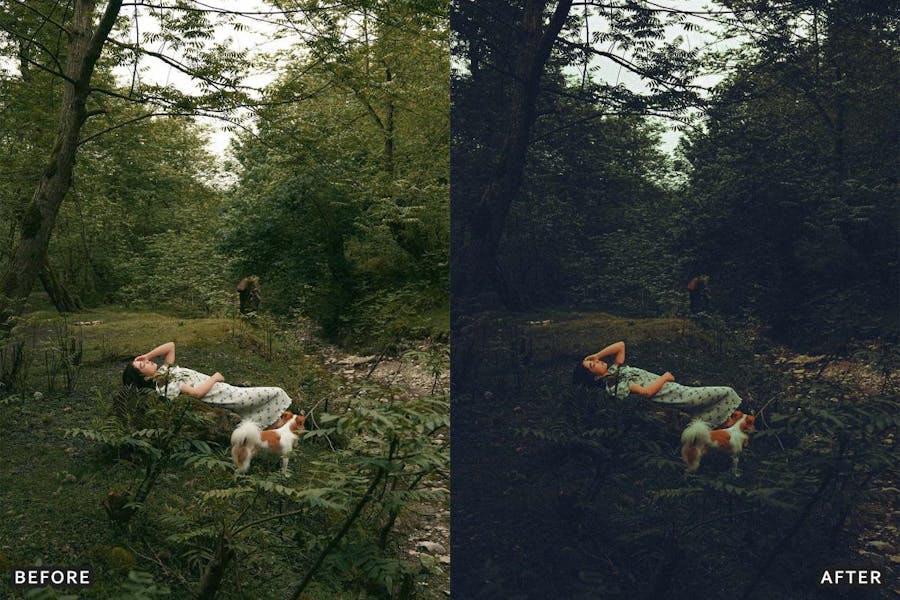 深绿色自然户外景观摄影照片调色Lightroom预设包 Deep Green Nature Lightroom Presets Pack 插件预设 第5张-素材湾丨精选海外优质设计素材资源 深绿色自然户外景观摄影照片调色Lightroom预设包 Deep Green Nature Lightroom Presets Pack 插件预设 sucaiwan.com