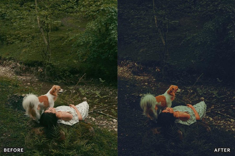 深绿色自然户外景观摄影照片调色Lightroom预设包 Deep Green Nature Lightroom Presets Pack 插件预设 第7张-素材湾丨精选海外优质设计素材资源 深绿色自然户外景观摄影照片调色Lightroom预设包 Deep Green Nature Lightroom Presets Pack 插件预设 sucaiwan.com