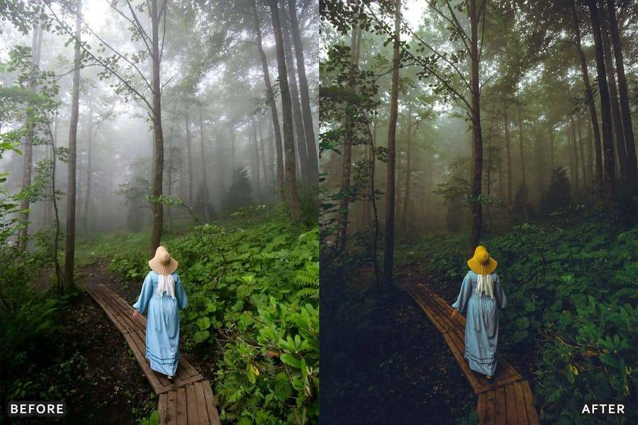 深绿色自然户外景观摄影照片调色Lightroom预设包 Deep Green Nature Lightroom Presets Pack 插件预设 第8张-素材湾丨精选海外优质设计素材资源 深绿色自然户外景观摄影照片调色Lightroom预设包 Deep Green Nature Lightroom Presets Pack 插件预设 sucaiwan.com