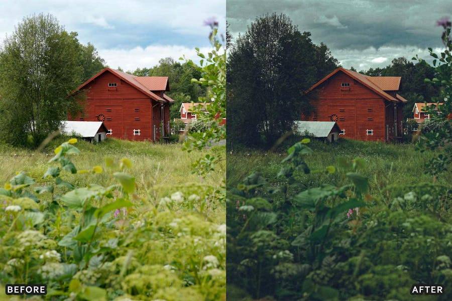 深绿色自然户外景观摄影照片调色Lightroom预设包 Deep Green Nature Lightroom Presets Pack 插件预设 第9张-素材湾丨精选海外优质设计素材资源 深绿色自然户外景观摄影照片调色Lightroom预设包 Deep Green Nature Lightroom Presets Pack 插件预设 sucaiwan.com