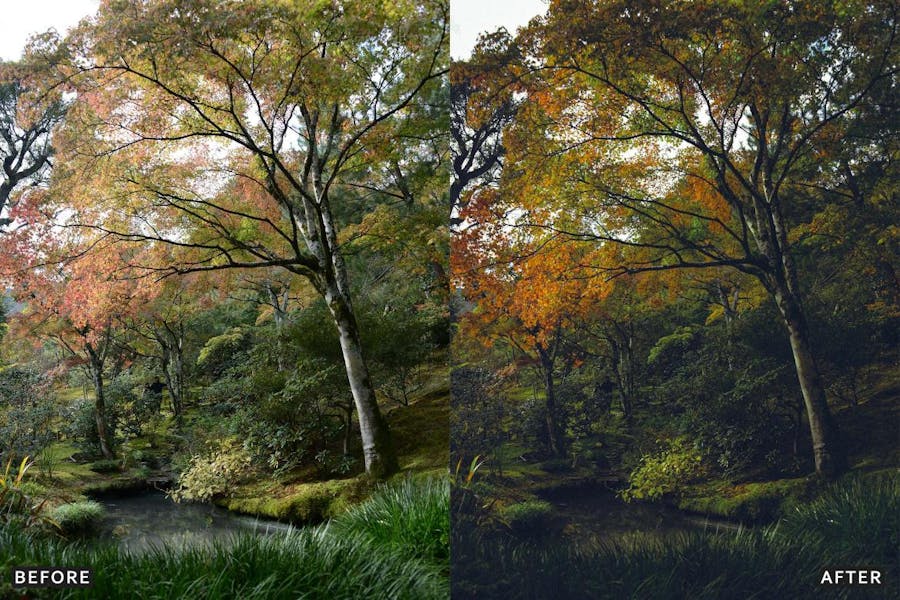 深绿色自然户外景观摄影照片调色Lightroom预设包 Deep Green Nature Lightroom Presets Pack 插件预设 第13张-素材湾丨精选海外优质设计素材资源 深绿色自然户外景观摄影照片调色Lightroom预设包 Deep Green Nature Lightroom Presets Pack 插件预设 sucaiwan.com