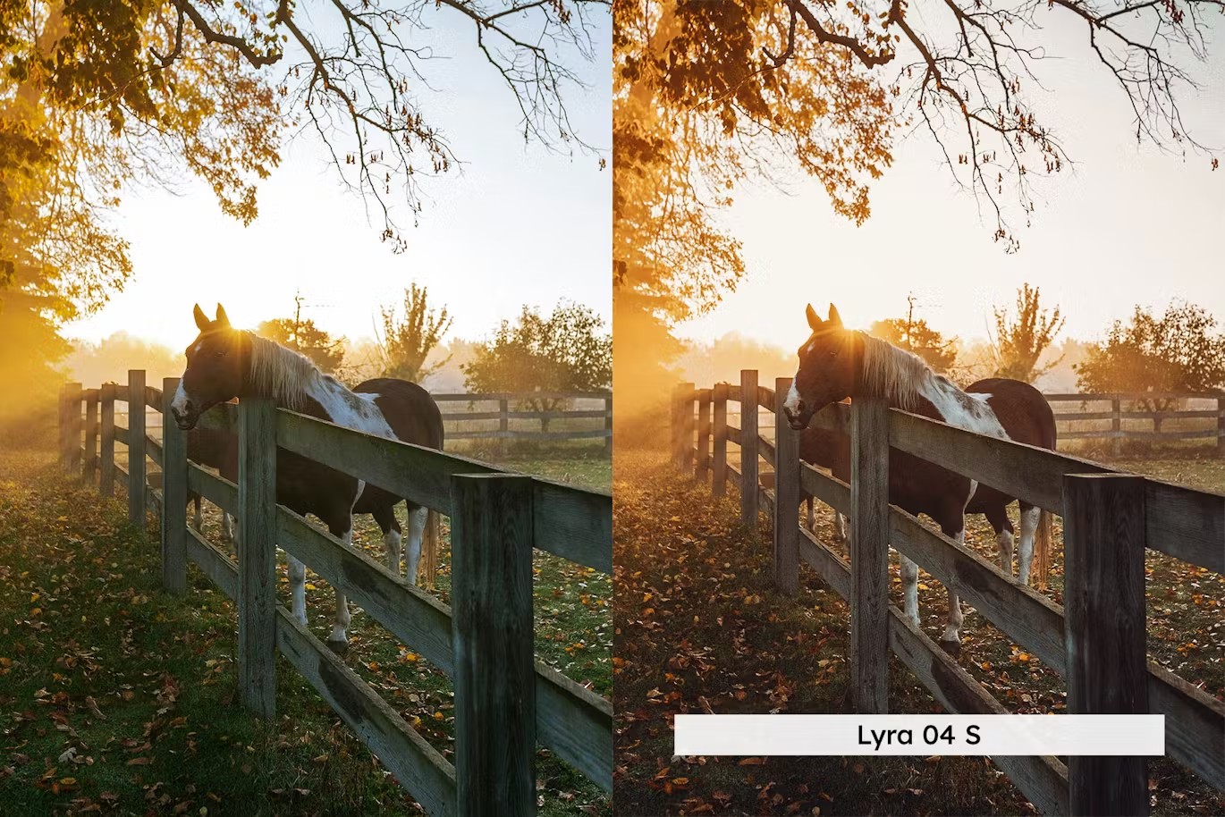 20组暖色调魔法时刻户外景观摄影照片调色Lightroom&LUTs预设 20 Magic Hour Lightroom Presets and LUTs 插件预设 sucaiwan.com