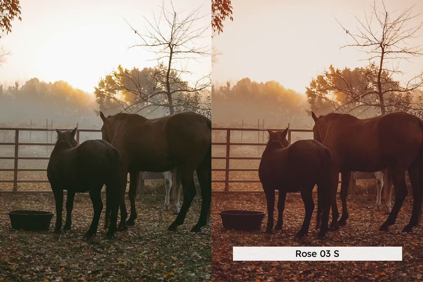 20组暖色调魔法时刻户外景观摄影照片调色Lightroom&LUTs预设 20 Magic Hour Lightroom Presets and LUTs 插件预设 sucaiwan.com