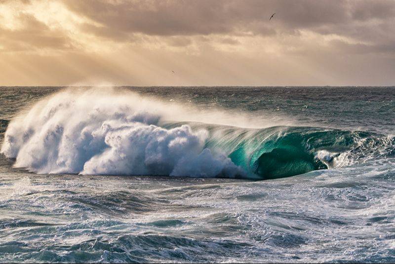 LR预设 专业富士柯达胶片模拟AI智能照片调色Lightroom预设 William Patino – AI Presets Landscape Edition 插件预设 第15张-素材湾丨精选海外优质设计素材资源 LR预设 专业富士柯达胶片模拟AI智能照片调色Lightroom预设 William Patino – AI Presets Landscape Edition 插件预设 sucaiwan.com