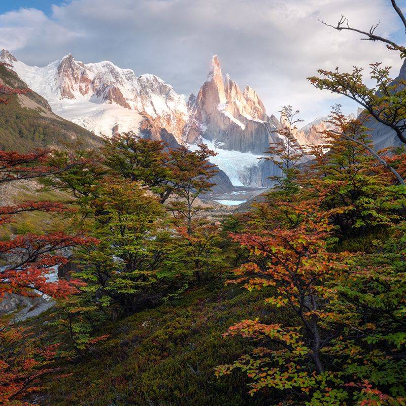 LR预设 专业富士柯达胶片模拟AI智能照片调色Lightroom预设 William Patino – AI Presets Landscape Edition 插件预设 第21张-素材湾丨精选海外优质设计素材资源 LR预设 专业富士柯达胶片模拟AI智能照片调色Lightroom预设 William Patino – AI Presets Landscape Edition 插件预设 sucaiwan.com