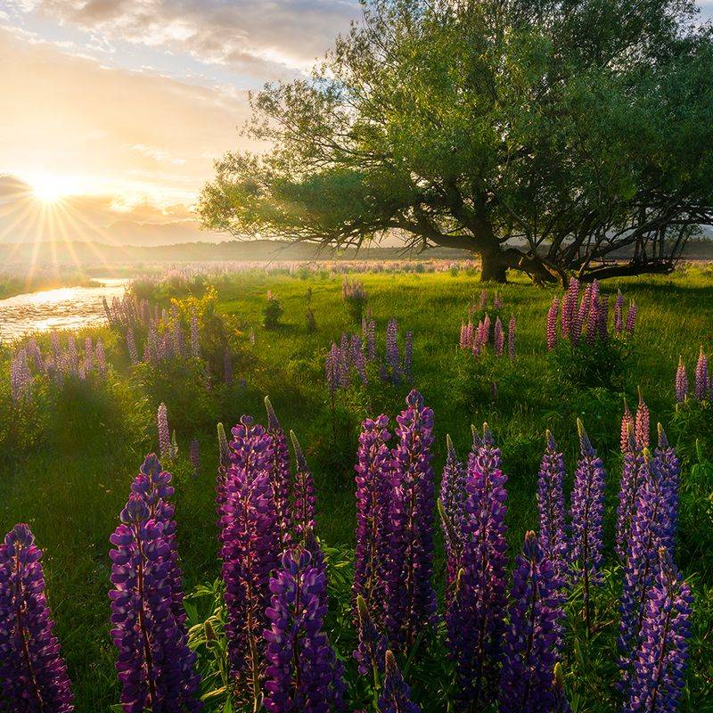 LR预设 专业富士柯达胶片模拟AI智能照片调色Lightroom预设 William Patino – AI Presets Landscape Edition 插件预设 第22张-素材湾丨精选海外优质设计素材资源 LR预设 专业富士柯达胶片模拟AI智能照片调色Lightroom预设 William Patino – AI Presets Landscape Edition 插件预设 sucaiwan.com