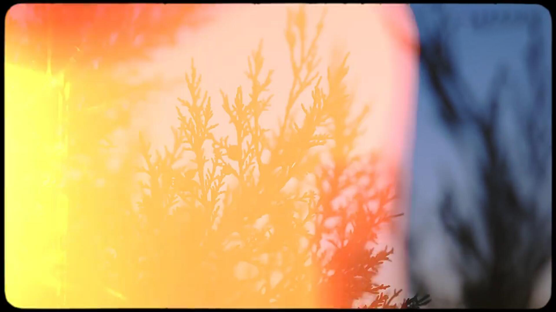 30款复古文艺情绪老旧胶片灼烧纹理4K视频素材转场含音效 Film Burns , sucaiwan.com