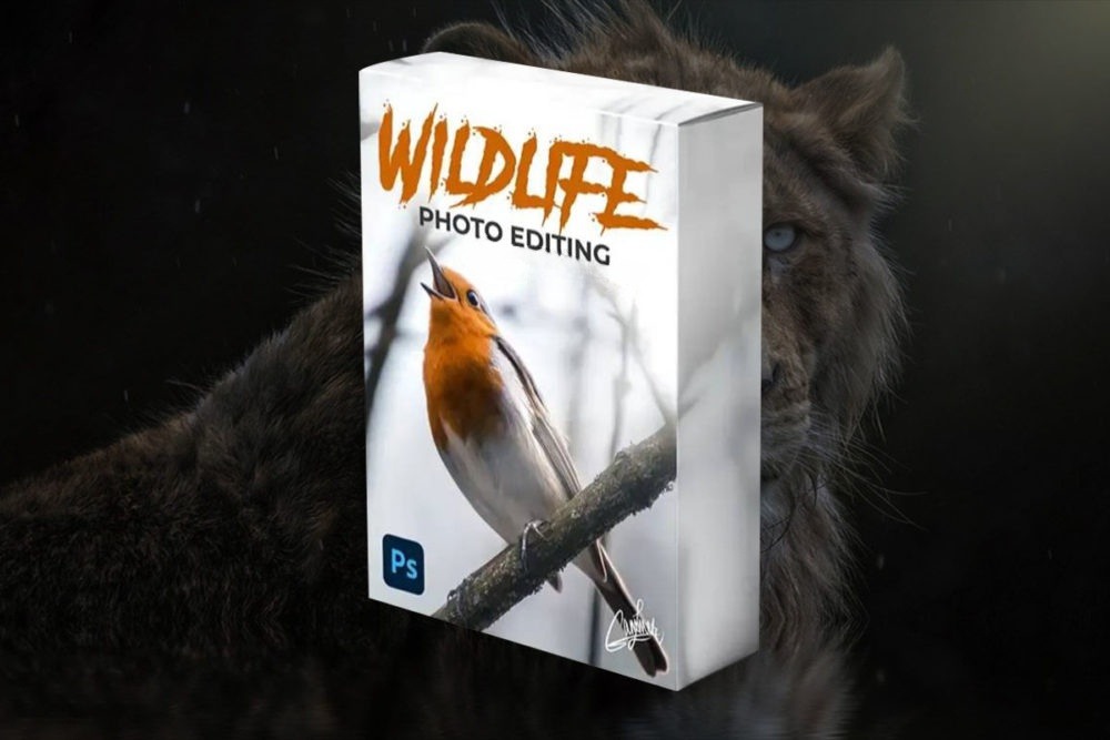 大师课程 油管大神Zenja Gammer出品野生动物摄影照片修图PS视频教程 Zenja Gammer – zenzcourses – Wildlife Photo Editing Course 设计教程 第1张-素材湾丨精选海外优质设计素材资源 大师课程 油管大神Zenja Gammer出品野生动物摄影照片修图PS视频教程 Zenja Gammer – zenzcourses – Wildlife Photo Editing Course 设计教程 sucaiwan.com