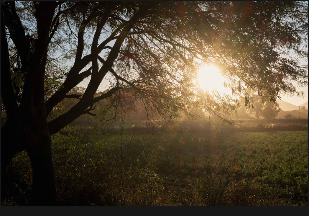 摄影大师Gavin Seim出品史诗般电影外观胶片模拟调色LUT/LR/Capture One预设包 Seim – Fimist Bundle for C1, Lightroom, and LUTS 插件预设 第8张-素材湾丨精选海外优质设计素材资源 摄影大师Gavin Seim出品史诗般电影外观胶片模拟调色LUT/LR/Capture One预设包 Seim – Fimist Bundle for C1, Lightroom, and LUTS 插件预设 sucaiwan.com