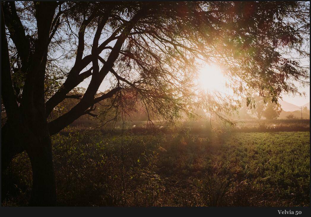 摄影大师Gavin Seim出品史诗般电影外观胶片模拟调色LUT/LR/Capture One预设包 Seim – Fimist Bundle for C1, Lightroom, and LUTS 插件预设 第9张-素材湾丨精选海外优质设计素材资源 摄影大师Gavin Seim出品史诗般电影外观胶片模拟调色LUT/LR/Capture One预设包 Seim – Fimist Bundle for C1, Lightroom, and LUTS 插件预设 sucaiwan.com