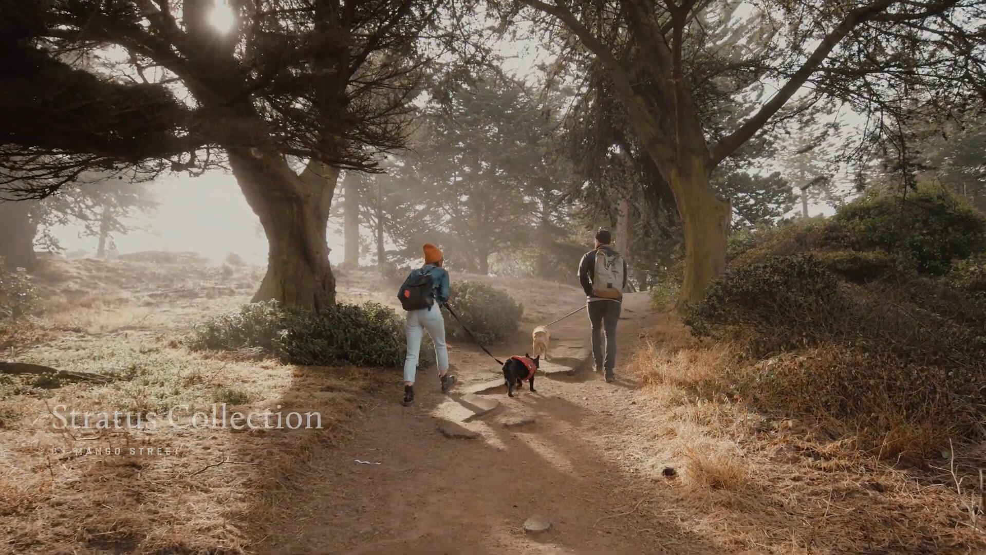 Gamut - Stratus LUTS 全新冒险旅拍户外电影感Vlog短片摄影LUT调色预设 插件预设 第3张-素材湾丨精选海外优质设计素材资源 Gamut - Stratus LUTS 全新冒险旅拍户外电影感Vlog短片摄影LUT调色预设 插件预设 sucaiwan.com