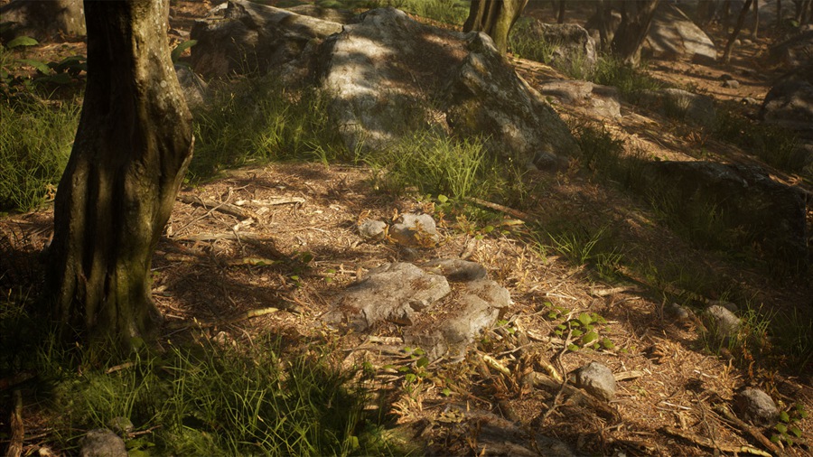 UE素材 虚拟引擎森林树木山地岩石3D模型 Unreal Engine – Leaf Tree Forest Biome , sucaiwan.com
