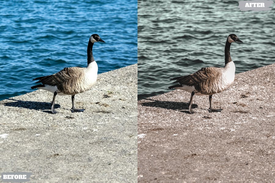 复古温暖生活旅行博主摄影照片调色Lightroom预设 Vintage Warm Lightroom Presets Dekstop and Mobile 插件预设 sucaiwan.com