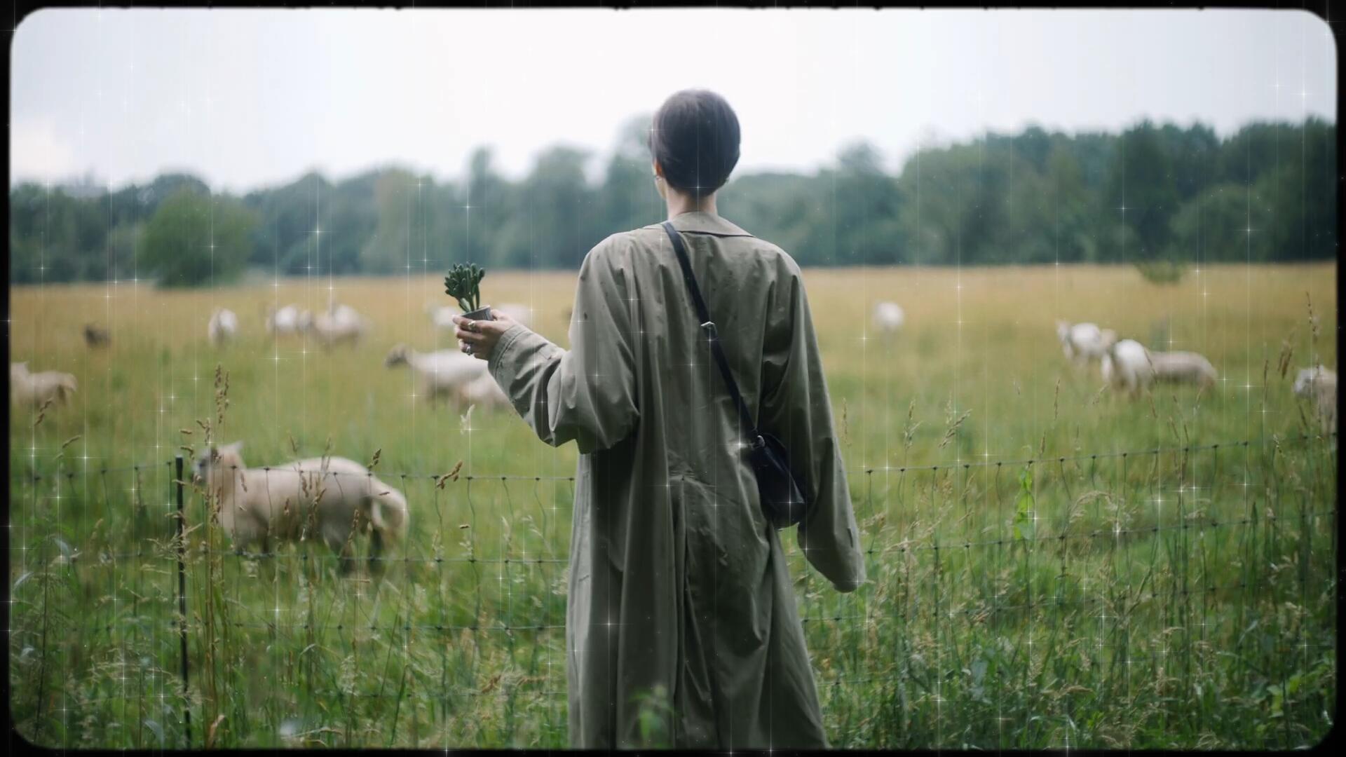 视频素材:35款复古Y2K艺术星芒光芒闪光镜头光晕闪烁漂浮发光坠落4K视频素材套装 Studio AAA – Falling Stars 影视音频 第6张-素材湾丨精选海外优质设计素材资源 视频素材:35款复古Y2K艺术星芒光芒闪光镜头光晕闪烁漂浮发光坠落4K视频素材套装 Studio AAA – Falling Stars 影视音频 sucaiwan.com