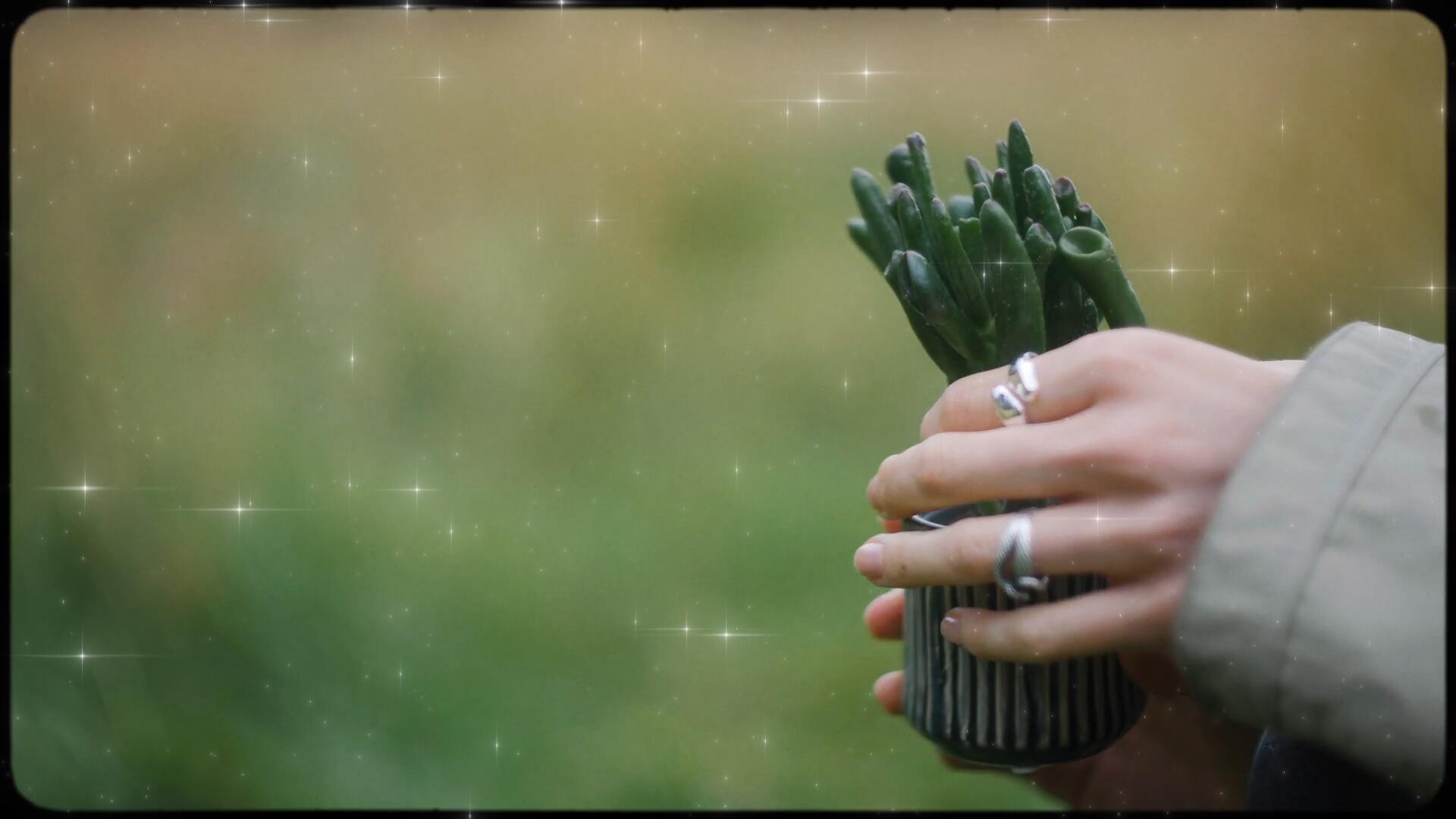 视频素材:35款复古Y2K艺术星芒光芒闪光镜头光晕闪烁漂浮发光坠落4K视频素材套装 Studio AAA – Falling Stars 影视音频 第7张-素材湾丨精选海外优质设计素材资源 视频素材:35款复古Y2K艺术星芒光芒闪光镜头光晕闪烁漂浮发光坠落4K视频素材套装 Studio AAA – Falling Stars 影视音频 sucaiwan.com