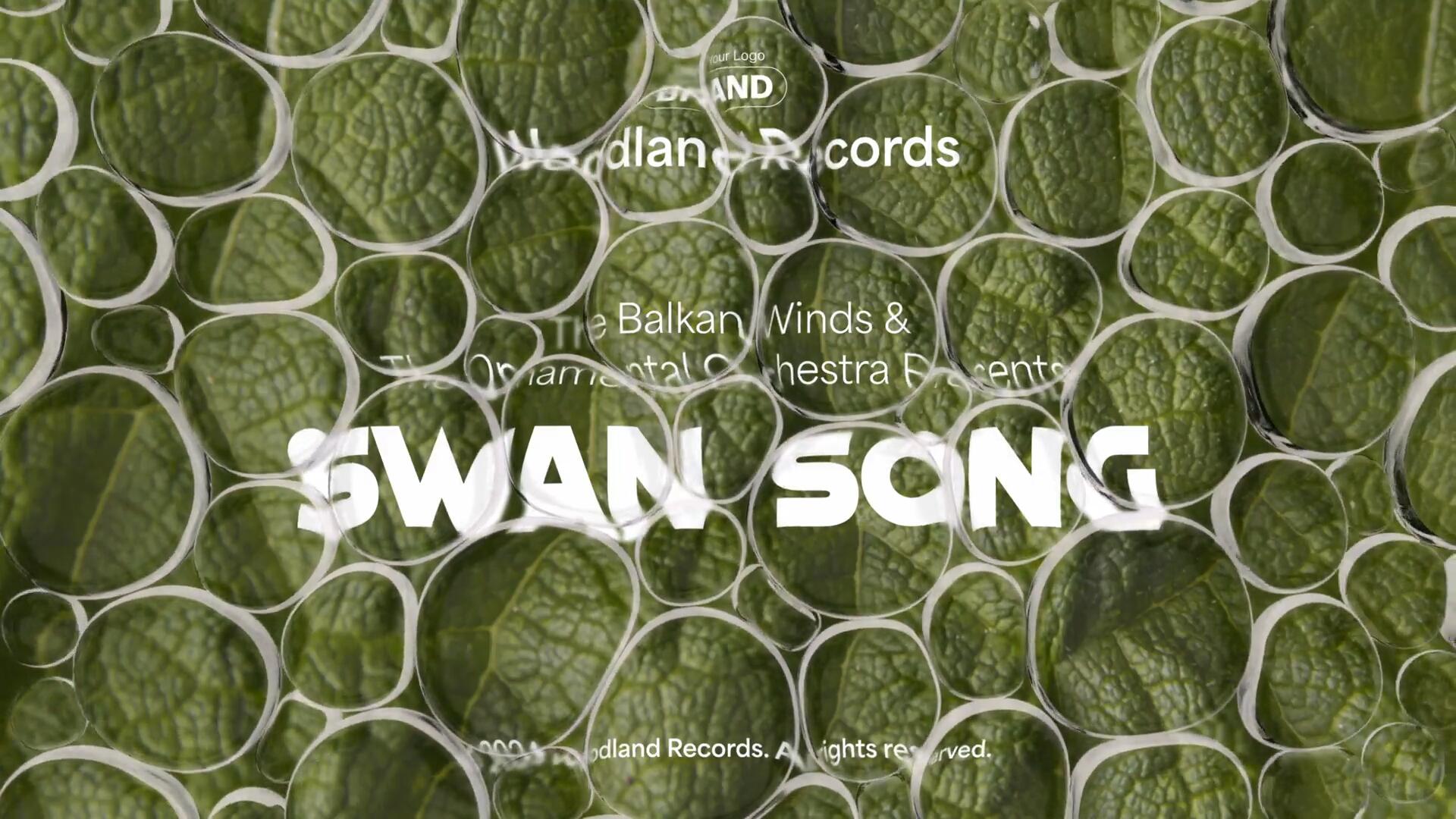 AE模板:复古Y2K抽象艺术梦幻透明塑料薄膜气泡3D排版标题封面海报 , 第5张-素材湾丨精选海外优质设计素材资源 AE模板:复古Y2K抽象艺术梦幻透明塑料薄膜气泡3D排版标题封面海报 , sucaiwan.com