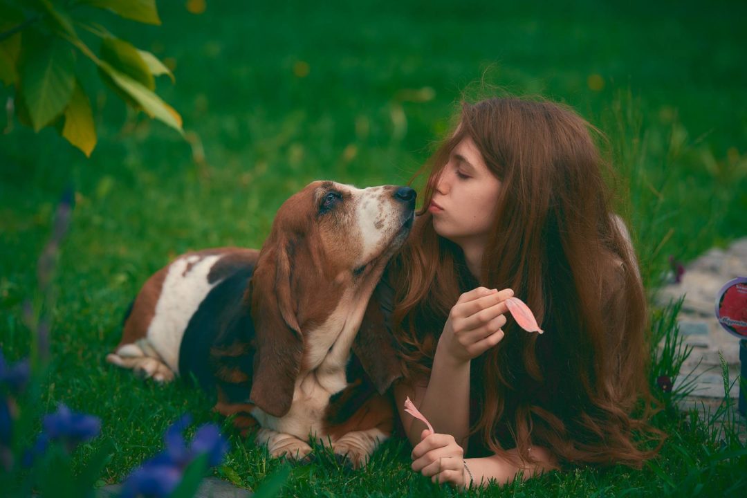 飞思预设 30+款令人惊叹哑光外观褐色婚礼婴儿街头人像摄影照片调色Capture One预设 Pixafoto: Capture One-Dream Matte presets 插件预设 第4张-素材湾丨精选海外优质设计素材资源 飞思预设 30+款令人惊叹哑光外观褐色婚礼婴儿街头人像摄影照片调色Capture One预设 Pixafoto: Capture One-Dream Matte presets 插件预设 sucaiwan.com