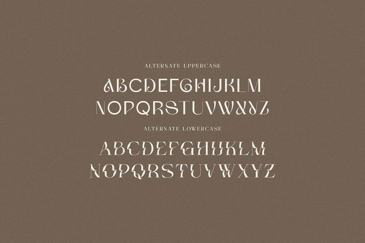 现代优雅品牌海报徽标设计衬线英文字体安装包 Soraya Sans And Serif 设计素材 sucaiwan.com