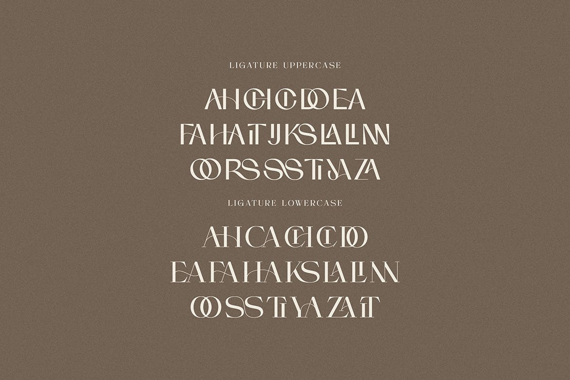 现代优雅品牌海报徽标设计衬线英文字体安装包 Soraya Sans And Serif 设计素材 sucaiwan.com