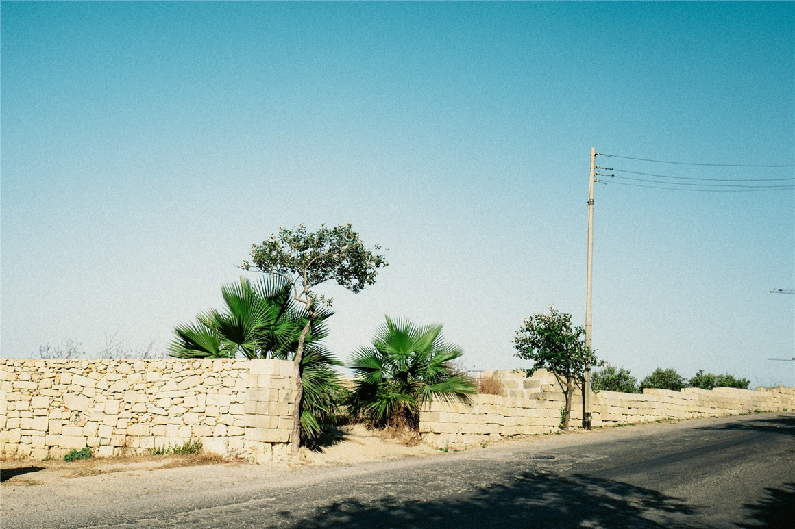 TCP 柯达富士电影模拟复古胶卷颗粒LR/PS预设相机内置DCP调色预设 Classic ECN-2 Lightroom Preset 插件预设 第7张-素材湾丨精选海外优质设计素材资源 TCP 柯达富士电影模拟复古胶卷颗粒LR/PS预设相机内置DCP调色预设 Classic ECN-2 Lightroom Preset 插件预设 sucaiwan.com
