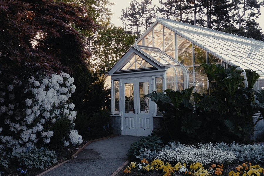 柯达Vision3 500T胶片模拟电影美学色彩分级LUT调色预设 Analogica Lab - Kodak Vision3 500T 插件预设 第5张-素材湾丨精选海外优质设计素材资源 柯达Vision3 500T胶片模拟电影美学色彩分级LUT调色预设 Analogica Lab - Kodak Vision3 500T 插件预设 sucaiwan.com