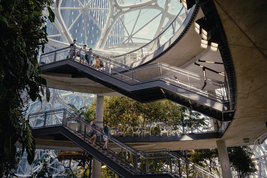 柯达Vision3 500T胶片模拟电影美学色彩分级LUT调色预设 Analogica Lab - Kodak Vision3 500T 插件预设 第7张-素材湾丨精选海外优质设计素材资源 柯达Vision3 500T胶片模拟电影美学色彩分级LUT调色预设 Analogica Lab - Kodak Vision3 500T 插件预设 sucaiwan.com