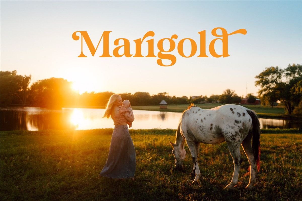 梦幻日落电影美学金盏花系列母婴户外摄影照片LR预设 Awandering Tribe - Marigold Collection , 第1张-素材湾丨精选海外优质设计素材资源 梦幻日落电影美学金盏花系列母婴户外摄影照片LR预设 Awandering Tribe - Marigold Collection , sucaiwan.com