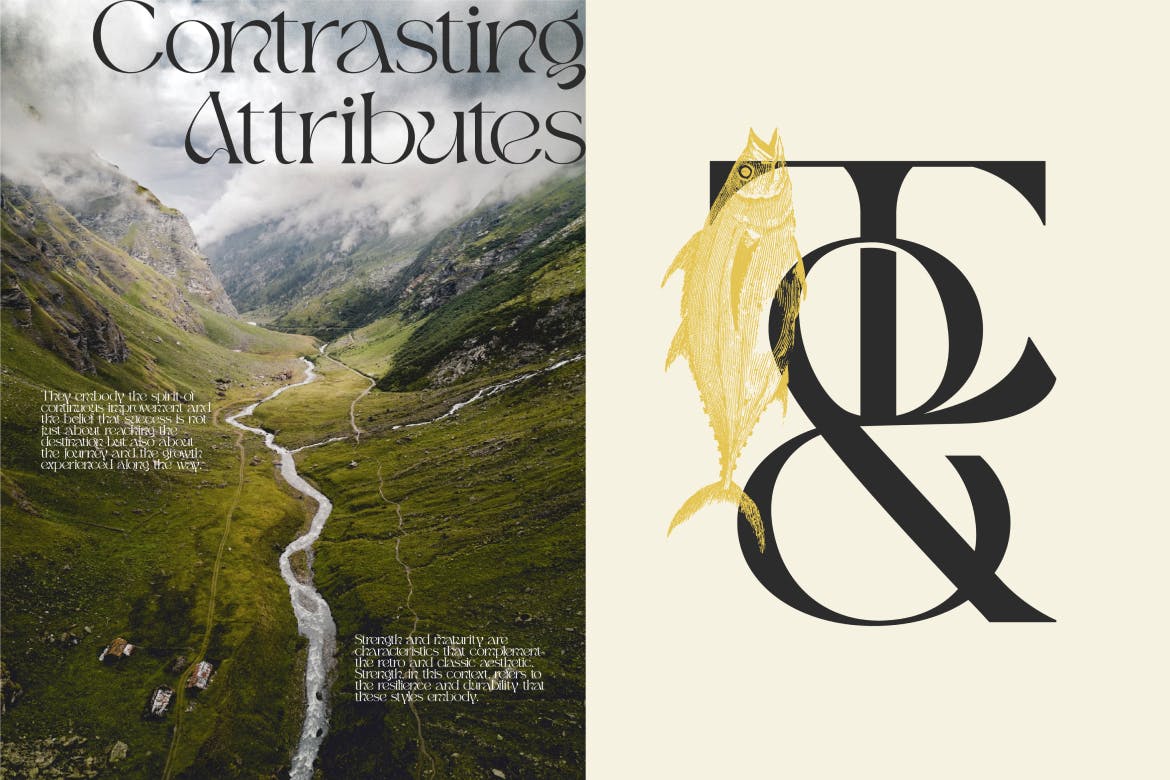 优雅美学品牌杂志标识设计衬线英文字体安装包 Qugen Luxury Seri Font 设计素材 sucaiwan.com