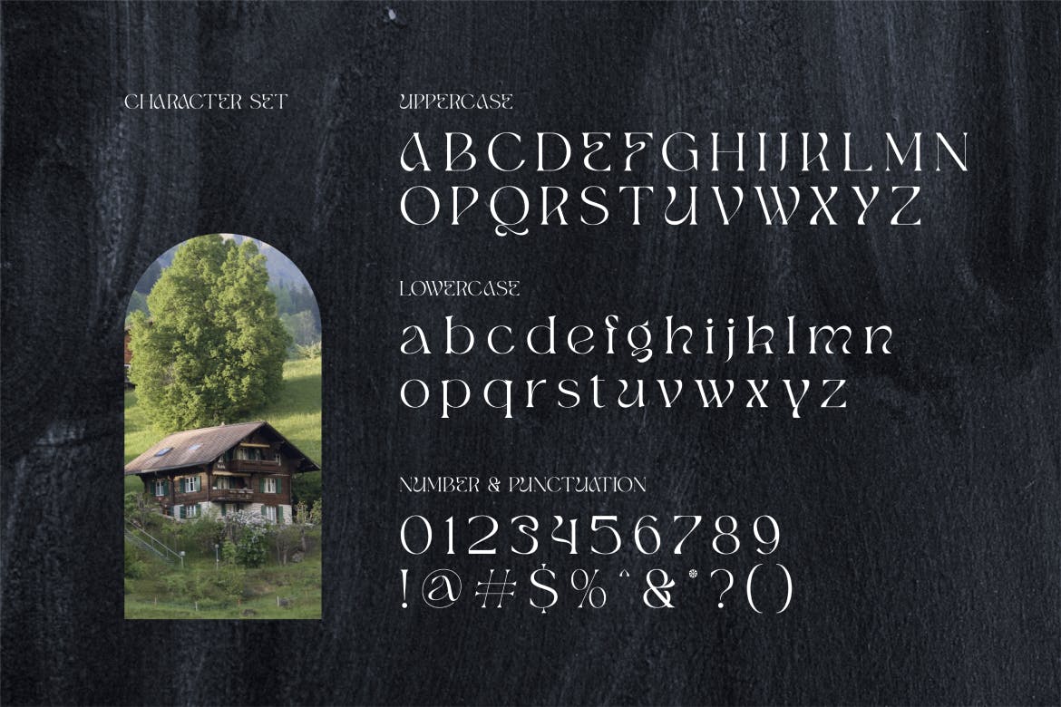 优雅美学品牌杂志标识设计衬线英文字体安装包 Qugen Luxury Seri Font 设计素材 sucaiwan.com