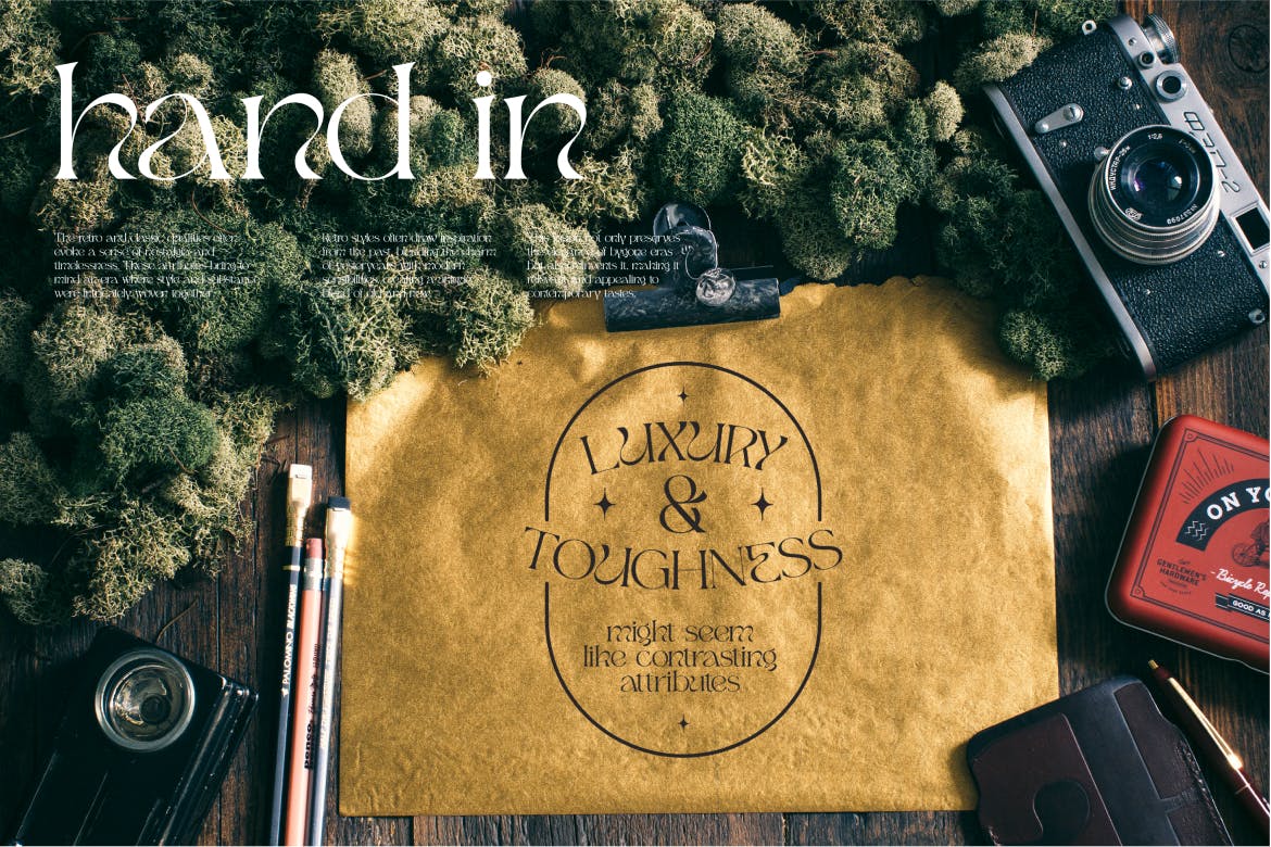 优雅美学品牌杂志标识设计衬线英文字体安装包 Qugen Luxury Seri Font 设计素材 sucaiwan.com