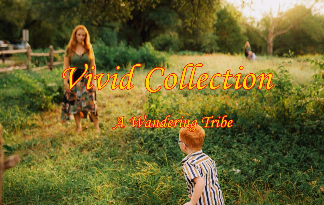 华丽棕色颗粒锐化效果家庭摄影照片调色Lightroom预设包 A Wandering Tribe: Vivid Collection 插件预设 第1张-素材湾丨精选海外优质设计素材资源 华丽棕色颗粒锐化效果家庭摄影照片调色Lightroom预设包 A Wandering Tribe: Vivid Collection 插件预设 sucaiwan.com