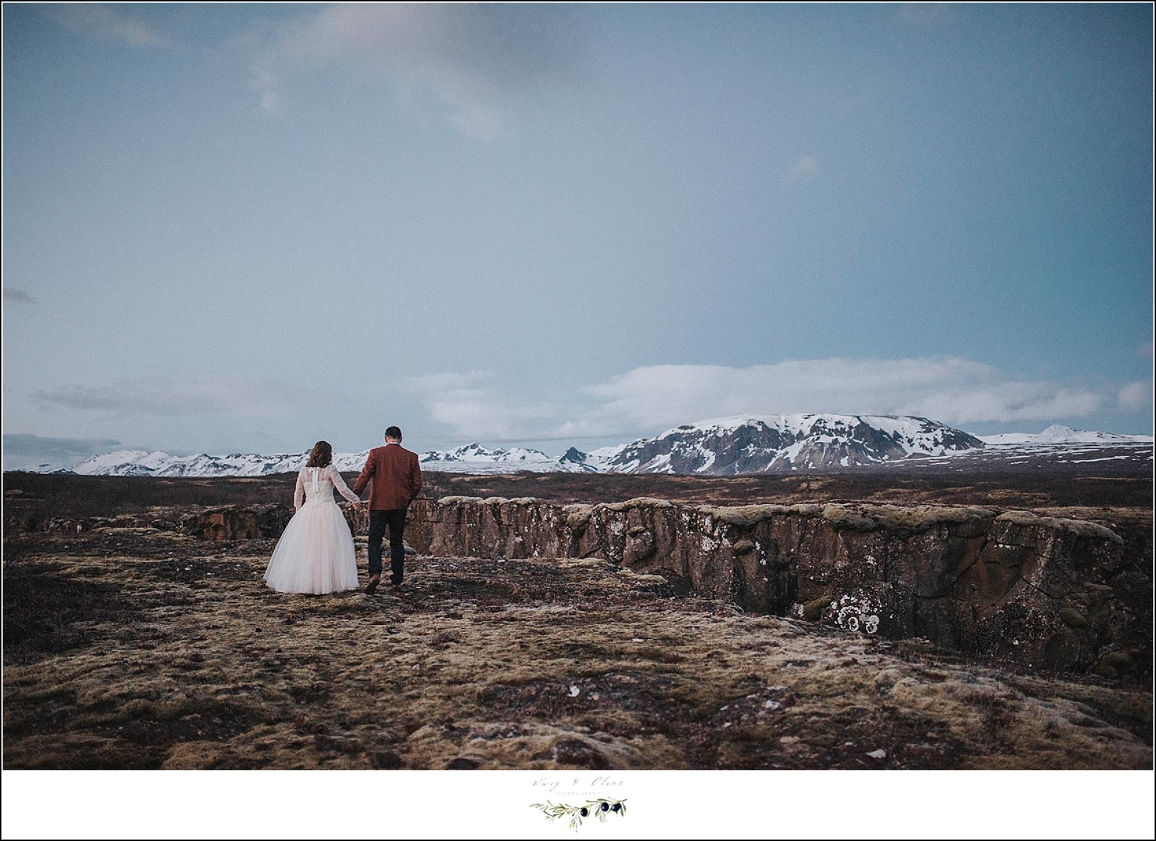 29组蓝绿色户外婚礼家庭摄影照片调色Lightroom预设 Twig & Olive Photography – LR Warm Film Presets 插件预设 sucaiwan.com