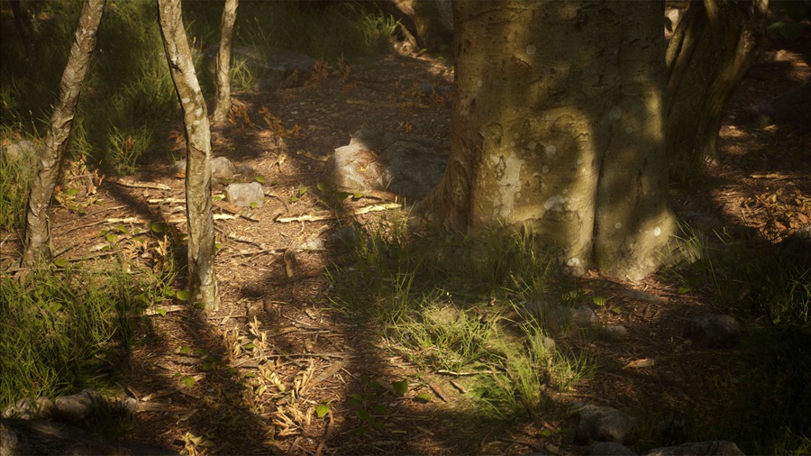 UE素材 虚拟引擎森林树木山地岩石3D模型 Unreal Engine – Leaf Tree Forest Biome , sucaiwan.com