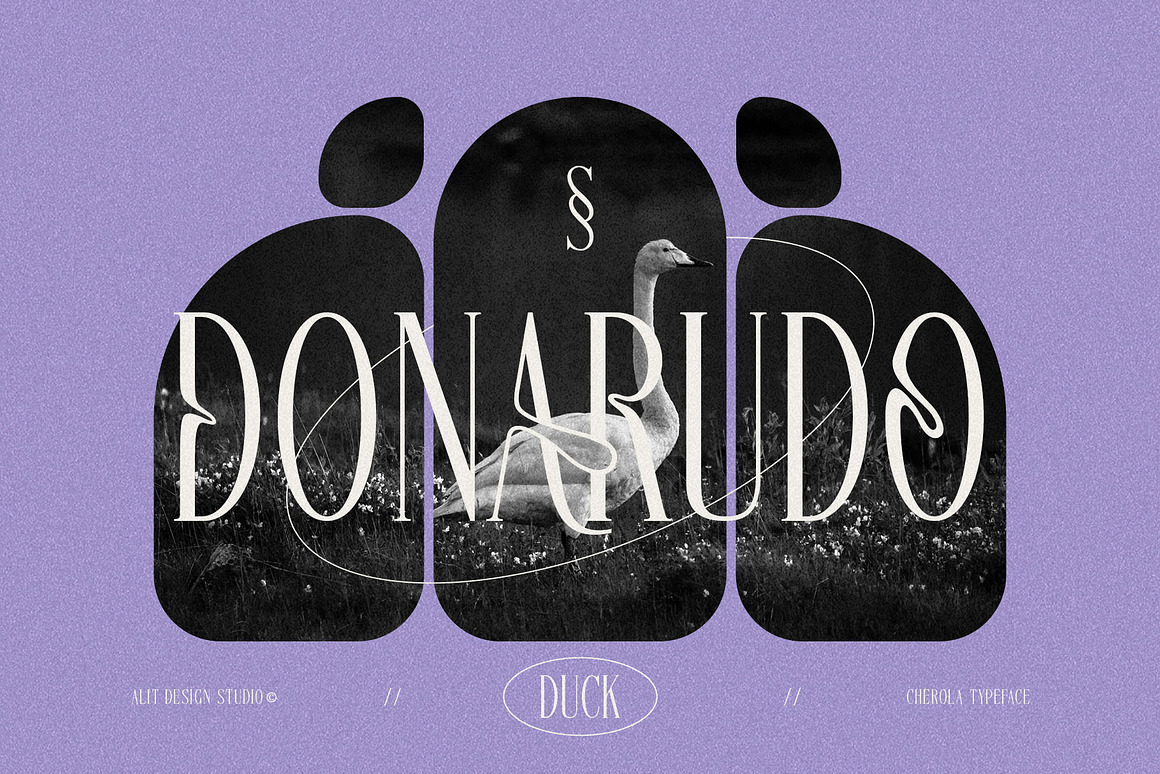 优雅复古波西米亚风品牌婚礼请柬设计衬线英文字体安装包 Cherola Typeface 设计素材 第11张-素材湾丨精选海外优质设计素材资源 优雅复古波西米亚风品牌婚礼请柬设计衬线英文字体安装包 Cherola Typeface 设计素材 sucaiwan.com