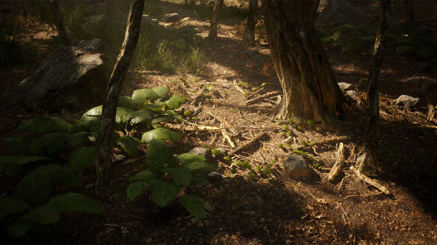 UE素材 虚拟引擎森林树木山地岩石3D模型 Unreal Engine – Leaf Tree Forest Biome , sucaiwan.com