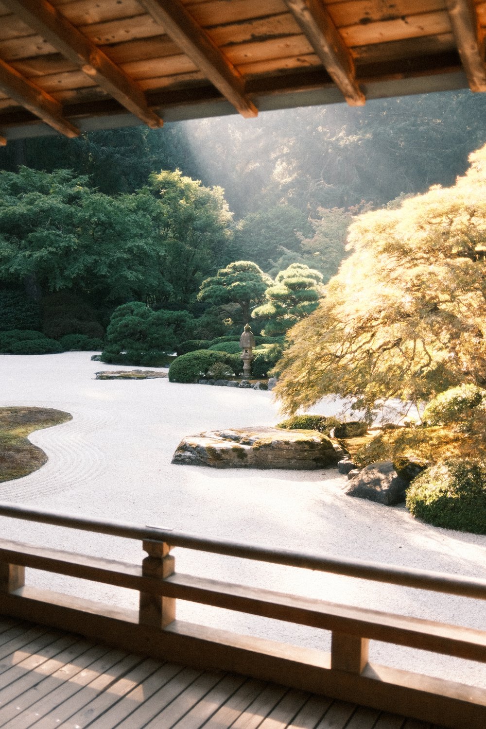 真实胶片电影美学怀旧色调颗粒纹理胶片摄影调色LR预设 Caleb Salvadori – Film Preset Collection V4 插件预设 第11张-素材湾丨精选海外优质设计素材资源 真实胶片电影美学怀旧色调颗粒纹理胶片摄影调色LR预设 Caleb Salvadori – Film Preset Collection V4 插件预设 sucaiwan.com