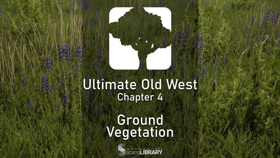 西部植物树木自然环境场景模型制作渲染全套UE5综合教程 中文字幕 Unreal Complete Scene – Old West Environment 样机素材 第5张-素材湾丨精选海外优质设计素材资源 西部植物树木自然环境场景模型制作渲染全套UE5综合教程 中文字幕 Unreal Complete Scene – Old West Environment 样机素材 sucaiwan.com