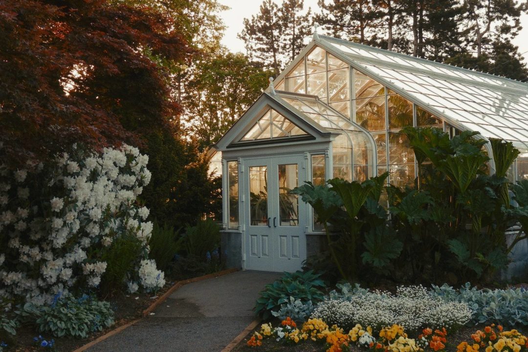 复古电影美学富士35MM FujiFilm Fuji 3513胶片仿真LOG&REC709还原调色LUT预设 Analogica Lab – Fujifilm Fuji 3513 Film Emulation LUT 插件预设 第5张-素材湾丨精选海外优质设计素材资源 复古电影美学富士35MM FujiFilm Fuji 3513胶片仿真LOG&REC709还原调色LUT预设 Analogica Lab – Fujifilm Fuji 3513 Film Emulation LUT 插件预设 sucaiwan.com