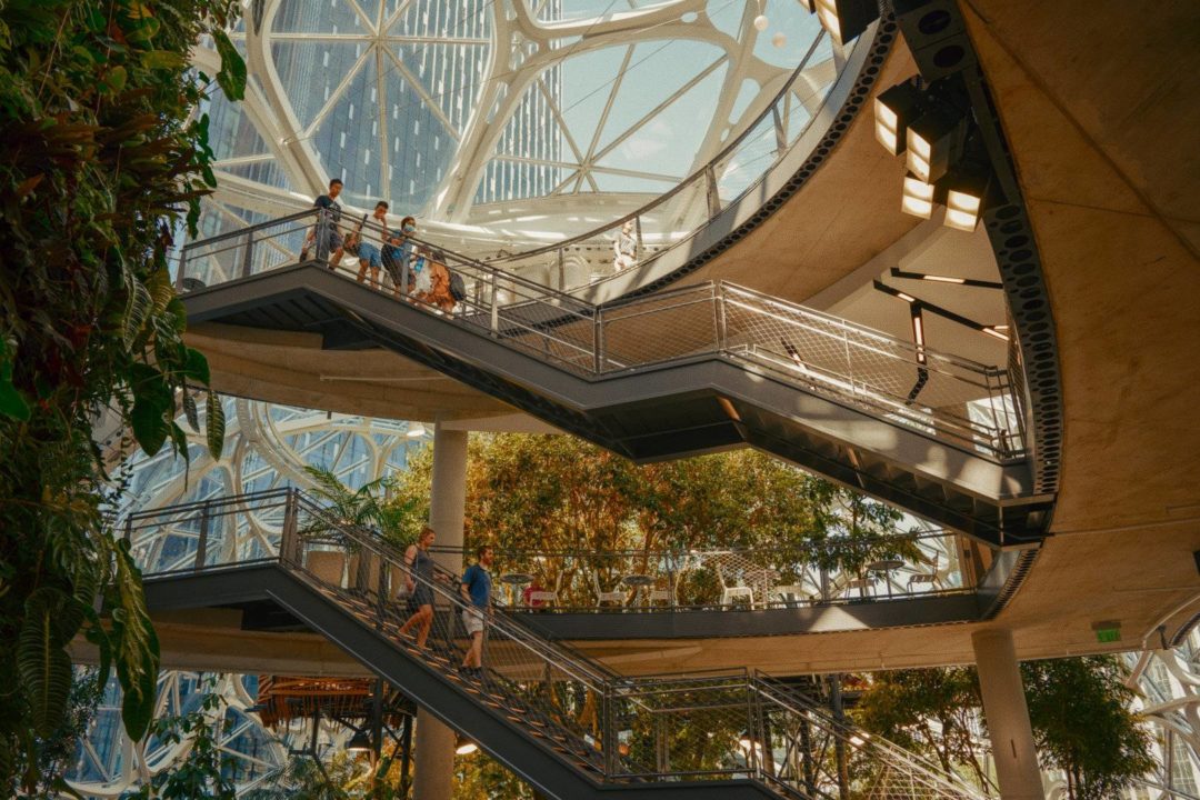 复古电影美学富士35MM FujiFilm Fuji 3513胶片仿真LOG&REC709还原调色LUT预设 Analogica Lab – Fujifilm Fuji 3513 Film Emulation LUT 插件预设 第7张-素材湾丨精选海外优质设计素材资源 复古电影美学富士35MM FujiFilm Fuji 3513胶片仿真LOG&REC709还原调色LUT预设 Analogica Lab – Fujifilm Fuji 3513 Film Emulation LUT 插件预设 sucaiwan.com