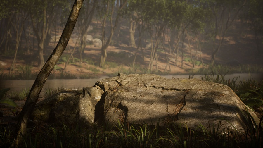 UE素材 虚拟引擎森林树木山地岩石3D模型 Unreal Engine – Leaf Tree Forest Biome , sucaiwan.com