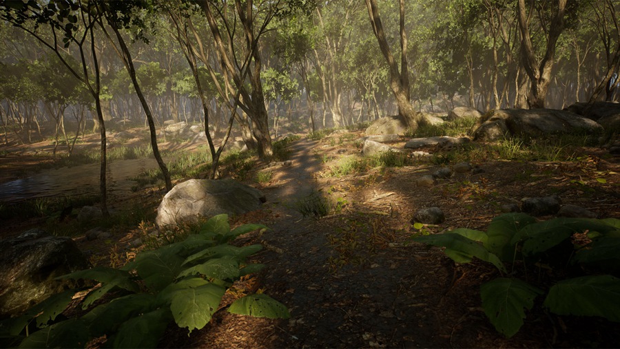 UE素材 虚拟引擎森林树木山地岩石3D模型 Unreal Engine – Leaf Tree Forest Biome , sucaiwan.com