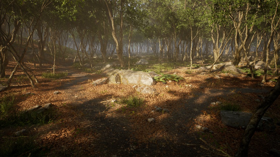 UE素材 虚拟引擎森林树木山地岩石3D模型 Unreal Engine – Leaf Tree Forest Biome , sucaiwan.com