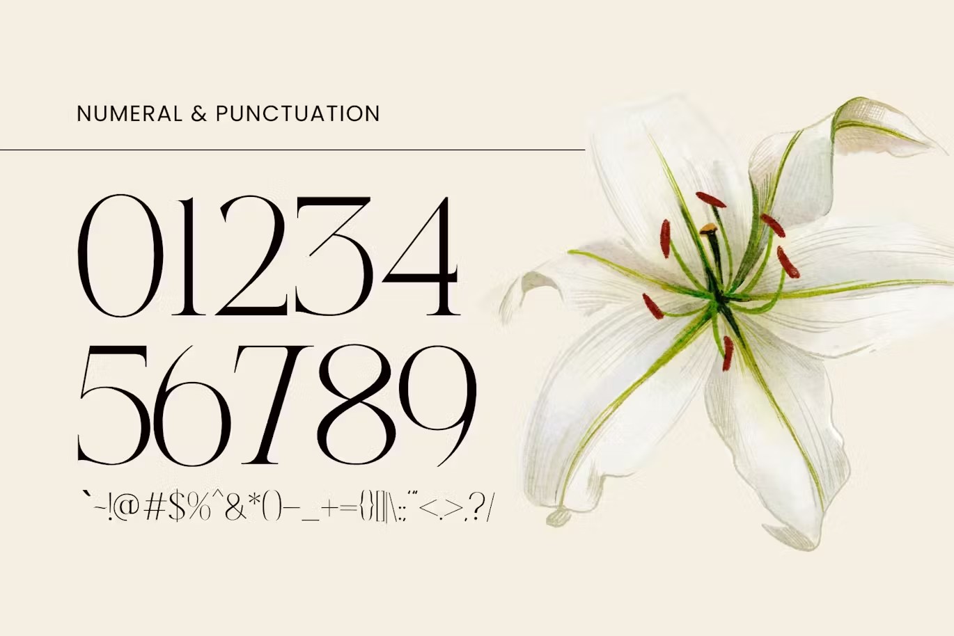 优雅复古美学品牌杂志海报徽标设计衬线英文字体安装包 Asbor – Logo Font 设计素材 sucaiwan.com