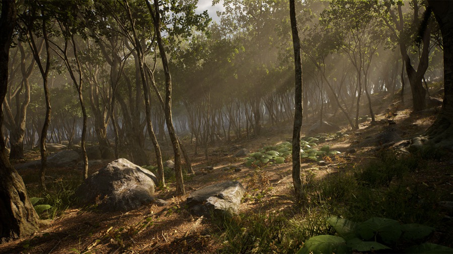 UE素材 虚拟引擎森林树木山地岩石3D模型 Unreal Engine – Leaf Tree Forest Biome , sucaiwan.com