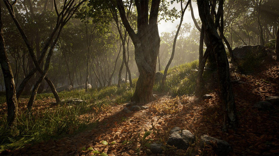 UE素材 虚拟引擎森林树木山地岩石3D模型 Unreal Engine – Leaf Tree Forest Biome , sucaiwan.com