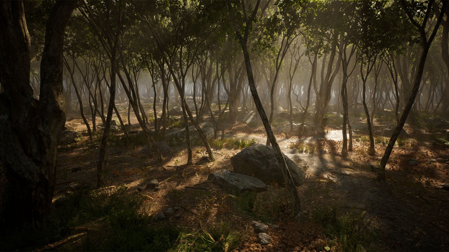 UE素材 虚拟引擎森林树木山地岩石3D模型 Unreal Engine – Leaf Tree Forest Biome , sucaiwan.com